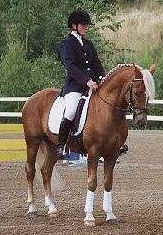 Willoway Goldigger RNF 127   Foto:SNF